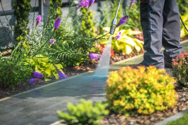 Best Pool Deck Cleaning  in Blissfield, MI